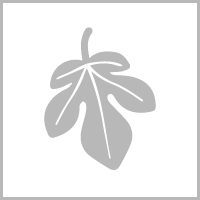 naakt-icon